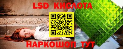 индика Кингисепп