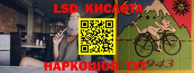 индика Кингисепп