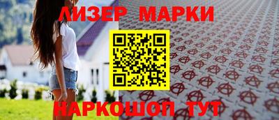 индика Кингисепп