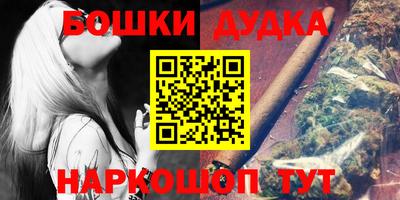 индика Кингисепп