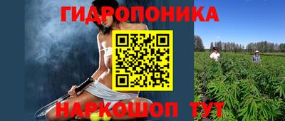 apvp Кимры