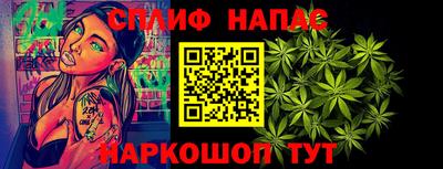 индика Кингисепп