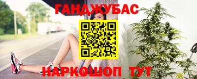 индика Кингисепп