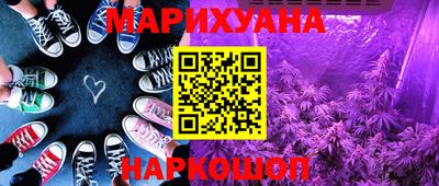 индика Кингисепп
