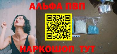 индика Кингисепп
