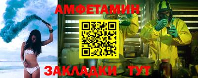 индика Кингисепп