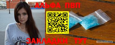 индика Кингисепп