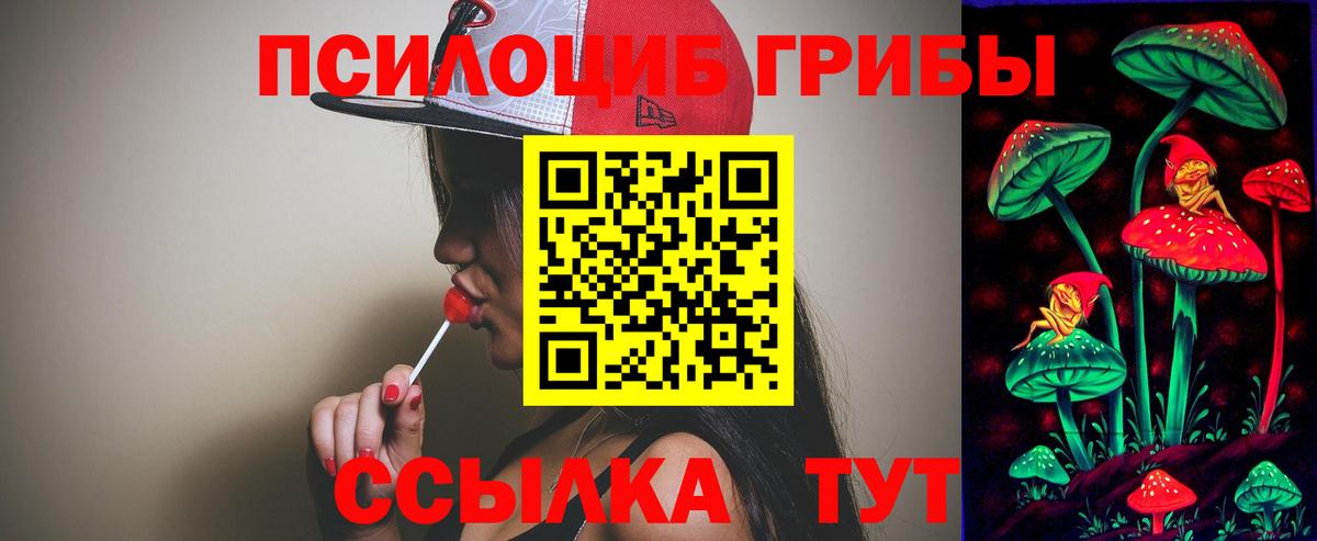 Галлюциногенные грибы Psilocybine cubensis Краснознаменск