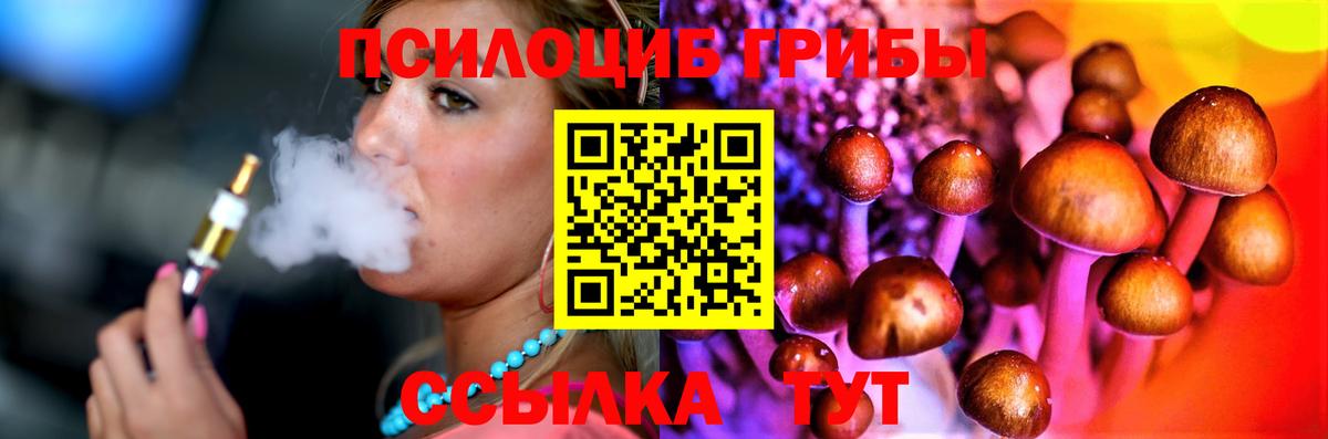 купить наркоту  Псилоцибиновые грибы Cubensis  Галлюциногенные грибы Magic Shrooms  Вход с VPN  Краснознаменск 